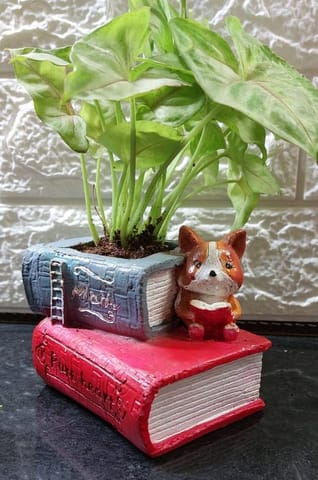 Book Planter - A Literary Touch to Your Green Space